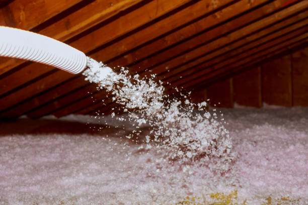 Best Insulation Installation Services in Prieville, NC