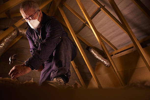 Best Insulation Maintenance and Repair in Prieville, NC